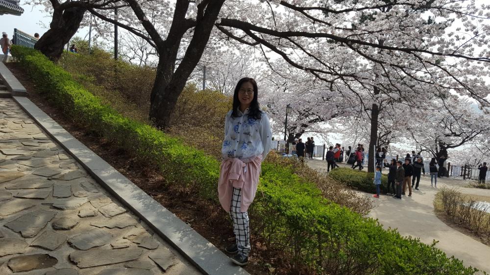 타로&파자 사진 3