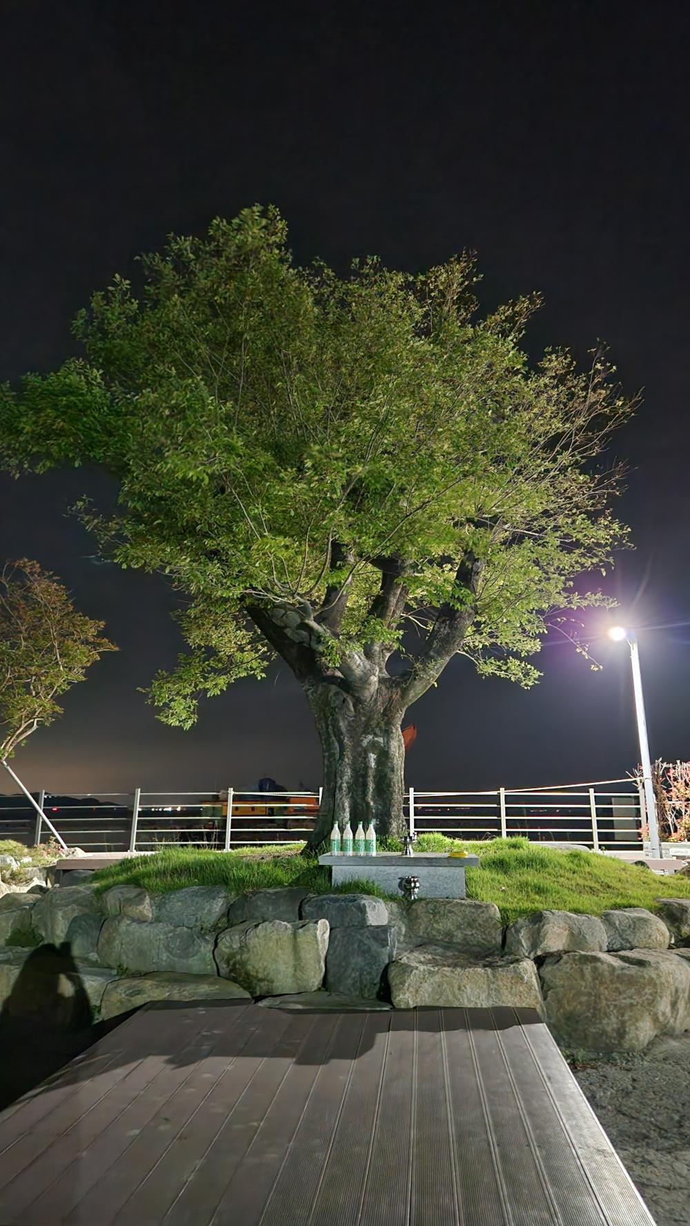 만신당 사진 2