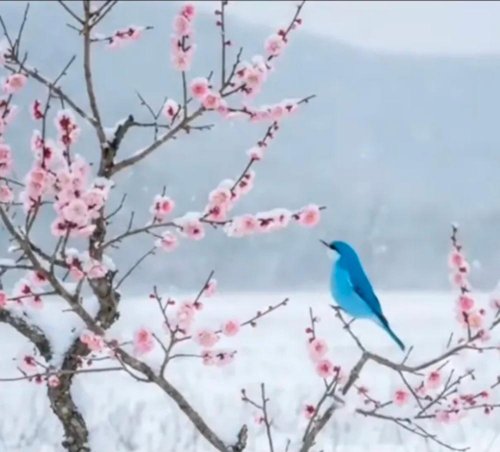 연희당 사진 1