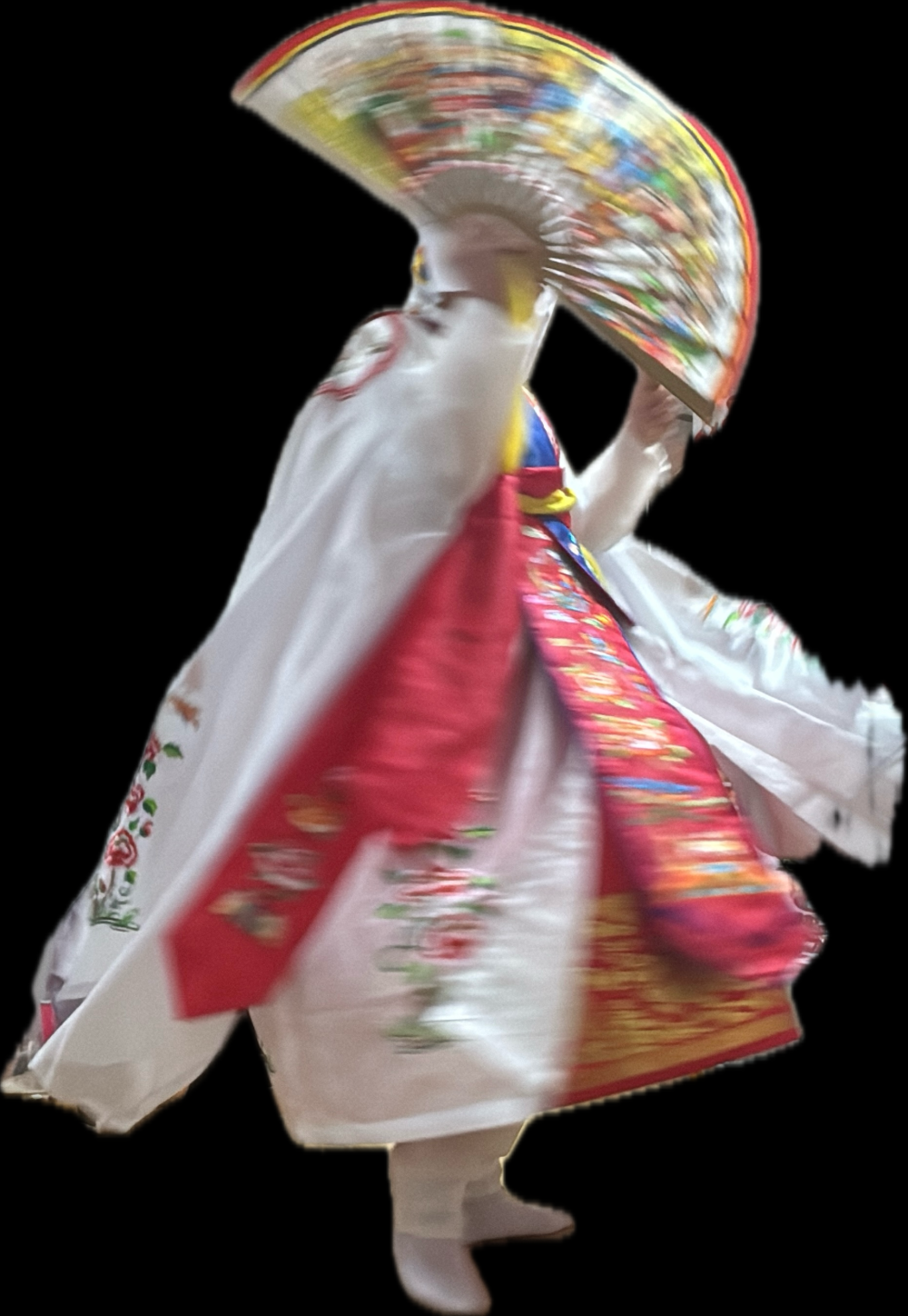 연꽃도령 사진 1