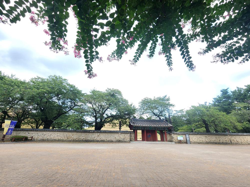 보배원 구)수경당용궁신녀 사진 3